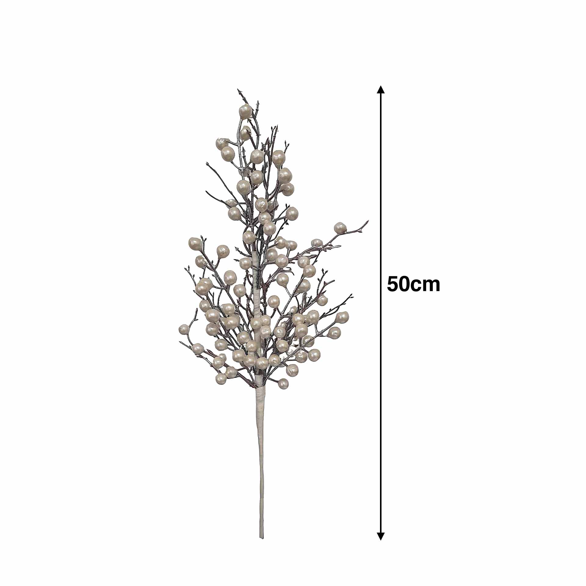 Haste Bagas E Raízes 50cm