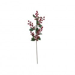 Haste De Azevinho Bagas 73cm Haste De Azevinho Bagas 73cm