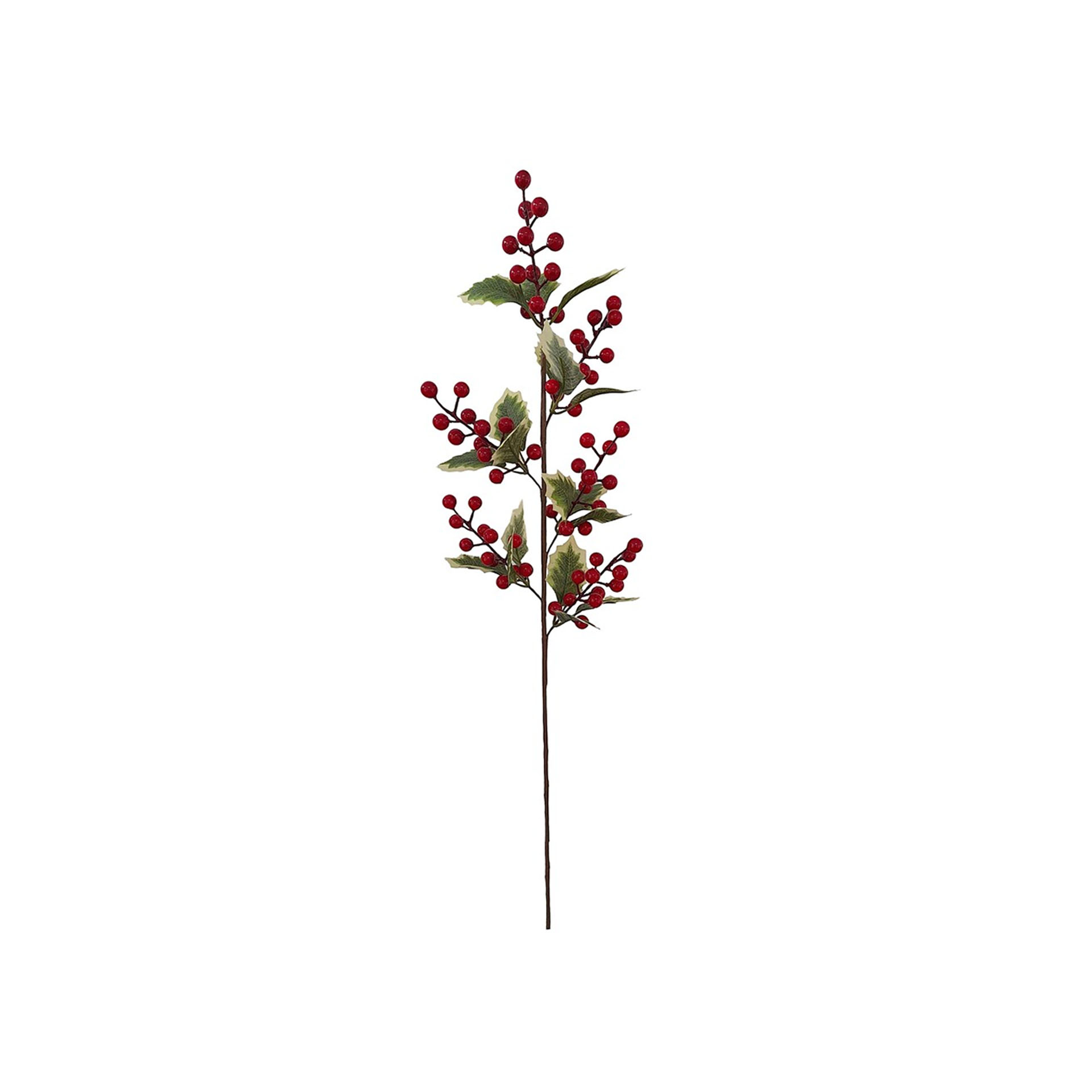Haste De Azevinho Bagas 73cm