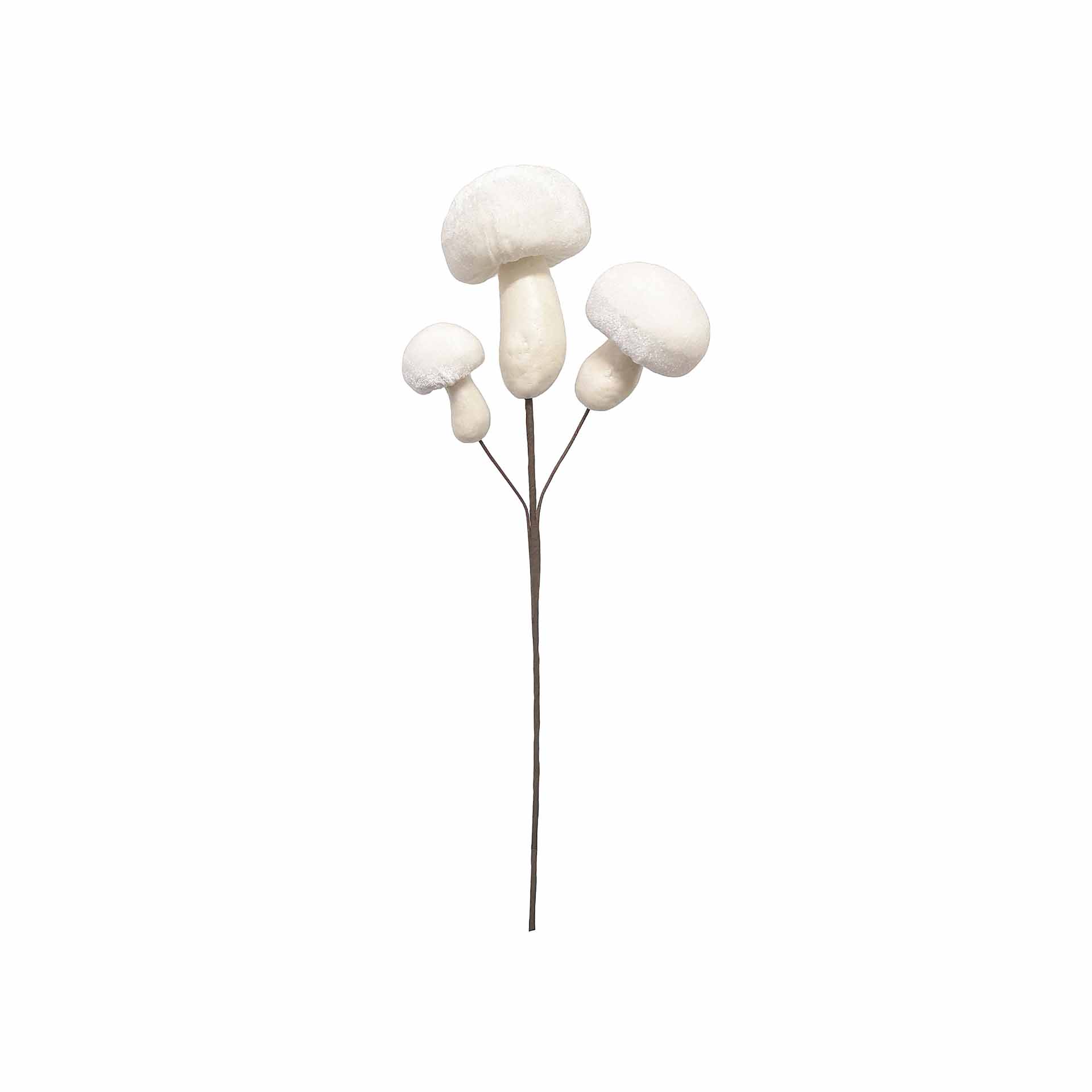 Haste De Cogumelos 60cm
