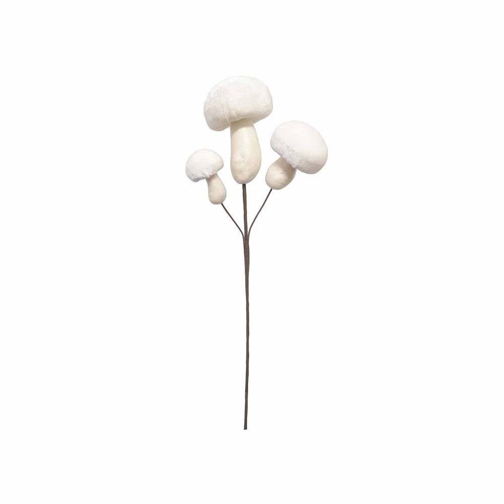 Haste De Cogumelos 60cm