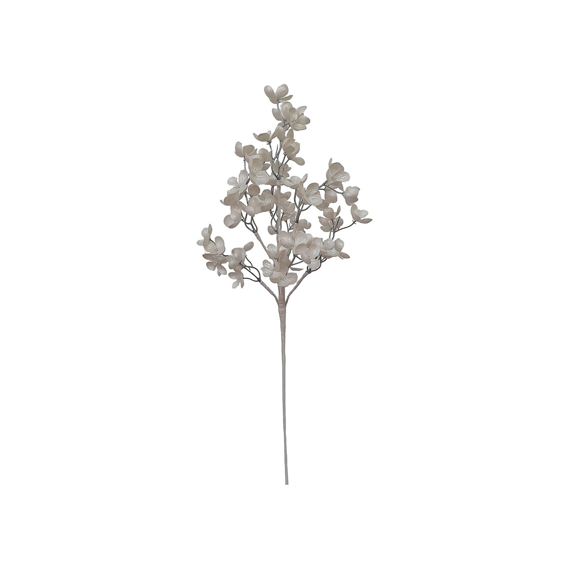 Haste Flor De Maciera 75cm