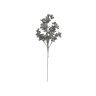 Haste Flor De Maciera 75cm