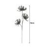 Haste Protea 70cm