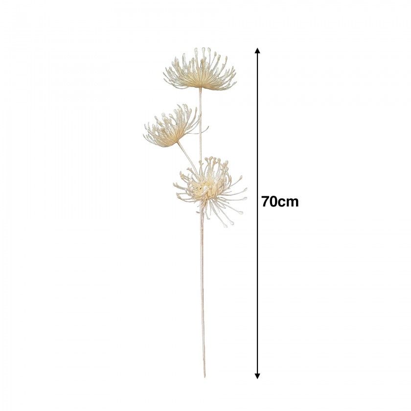 Haste Protea 70cm Haste Protea 70cm