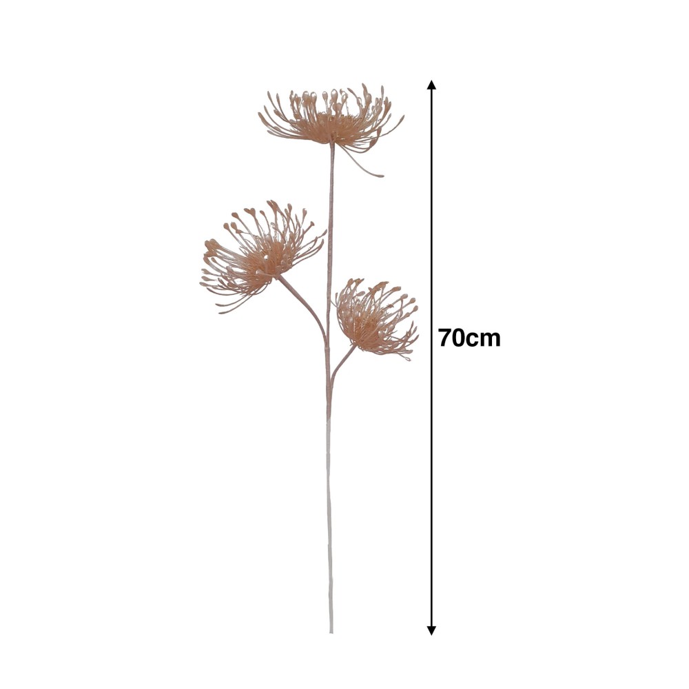 Haste Protea 70cm