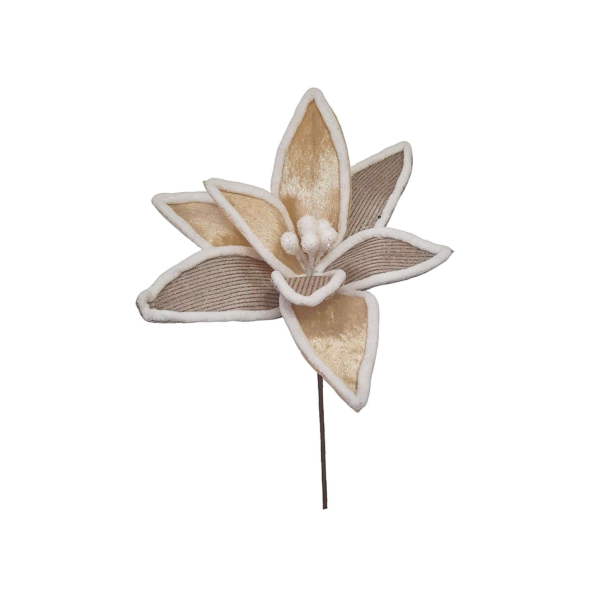 Haste Poinsetia 25X30cm