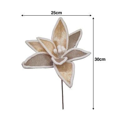 Haste Poinsetia 25X30cm