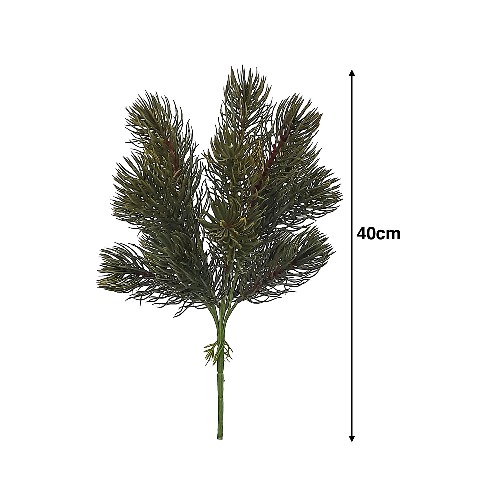 Ramo De Pinho 40cm