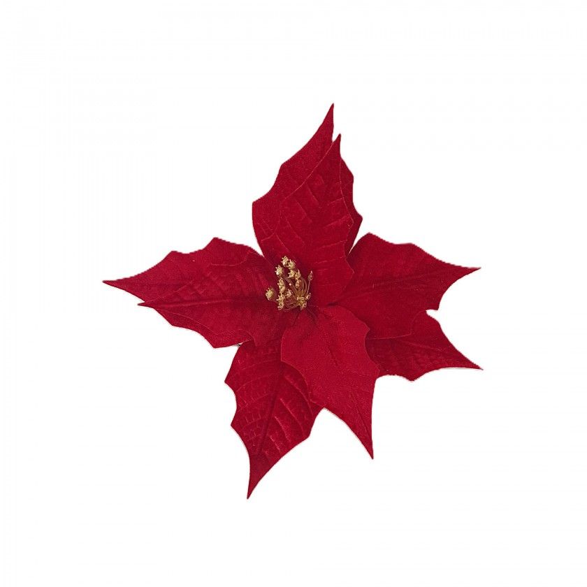 Haste Poinsetia Veludo Mola 30cm