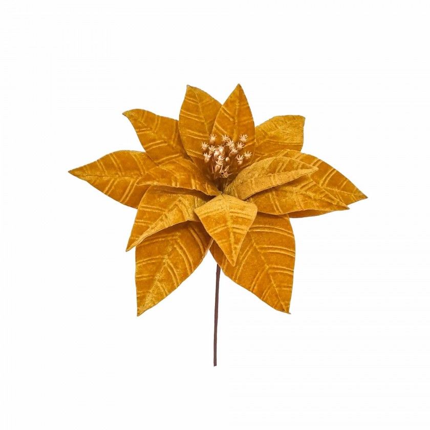 Poinsetia Veludo 41X27cm