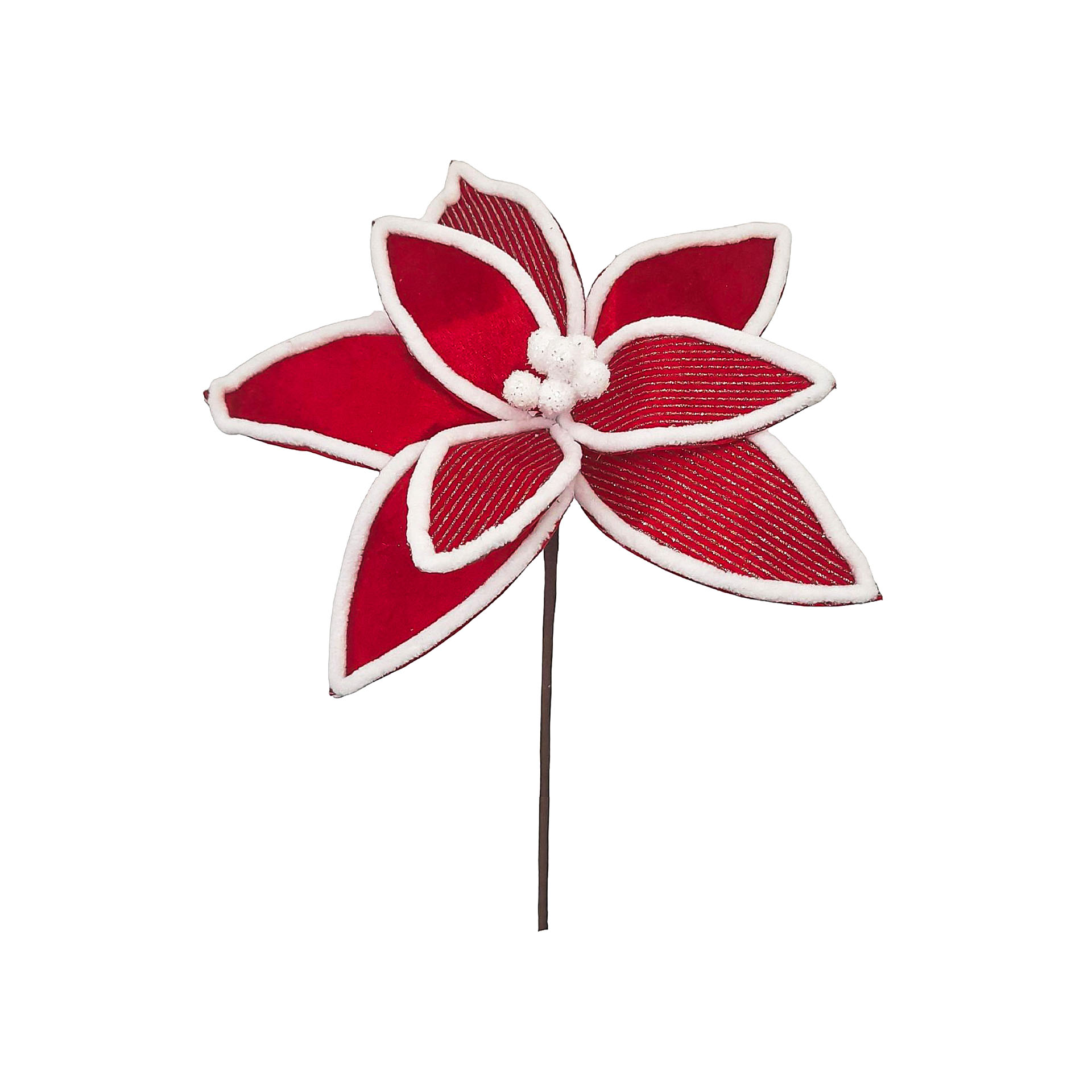 Haste Poinsetia 25X30cm