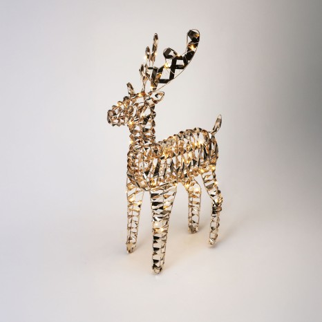 Rena 60cm - Image product