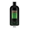 Champo Tresemme Cleanse & Replenish 900ml Champo Tresemme Cleanse & Replenish 900ml