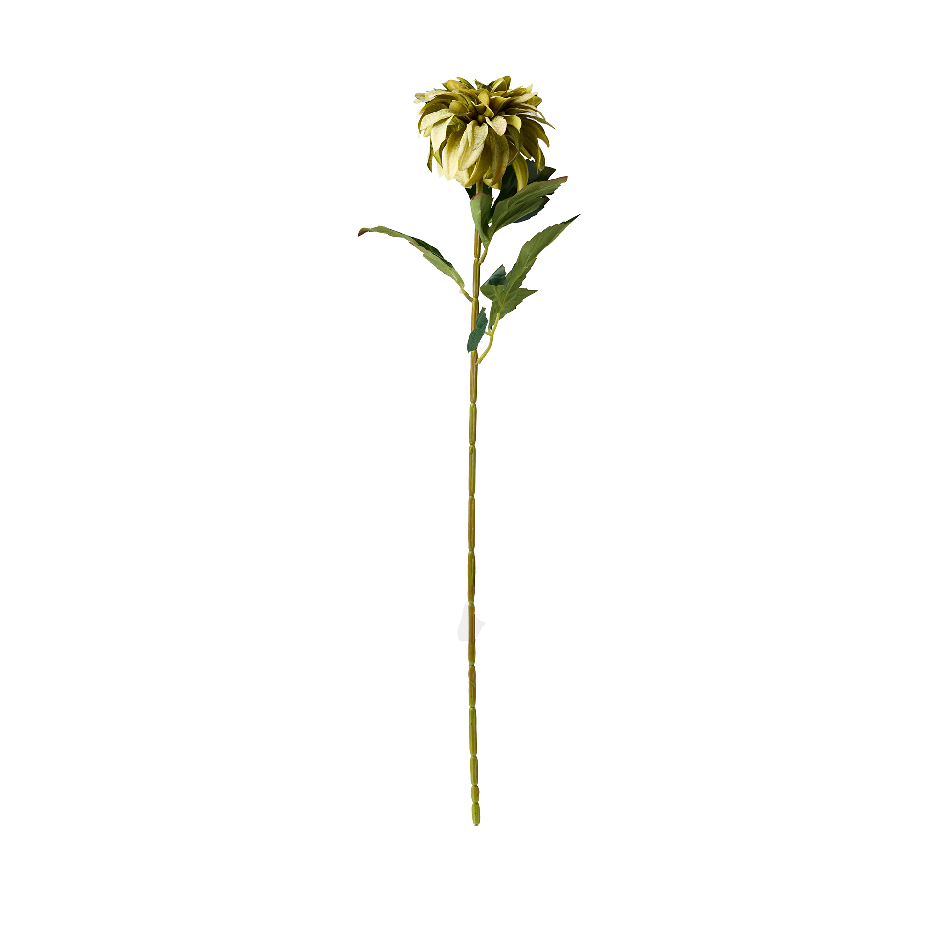 Haste De Dalia Verde 70cm