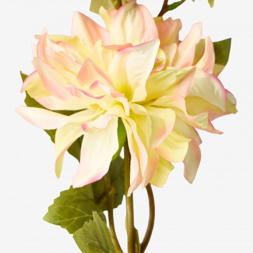 Haste Dália com Botão Rosa / Verde 65cm Haste Dália com Botão Rosa / Verde 65cm