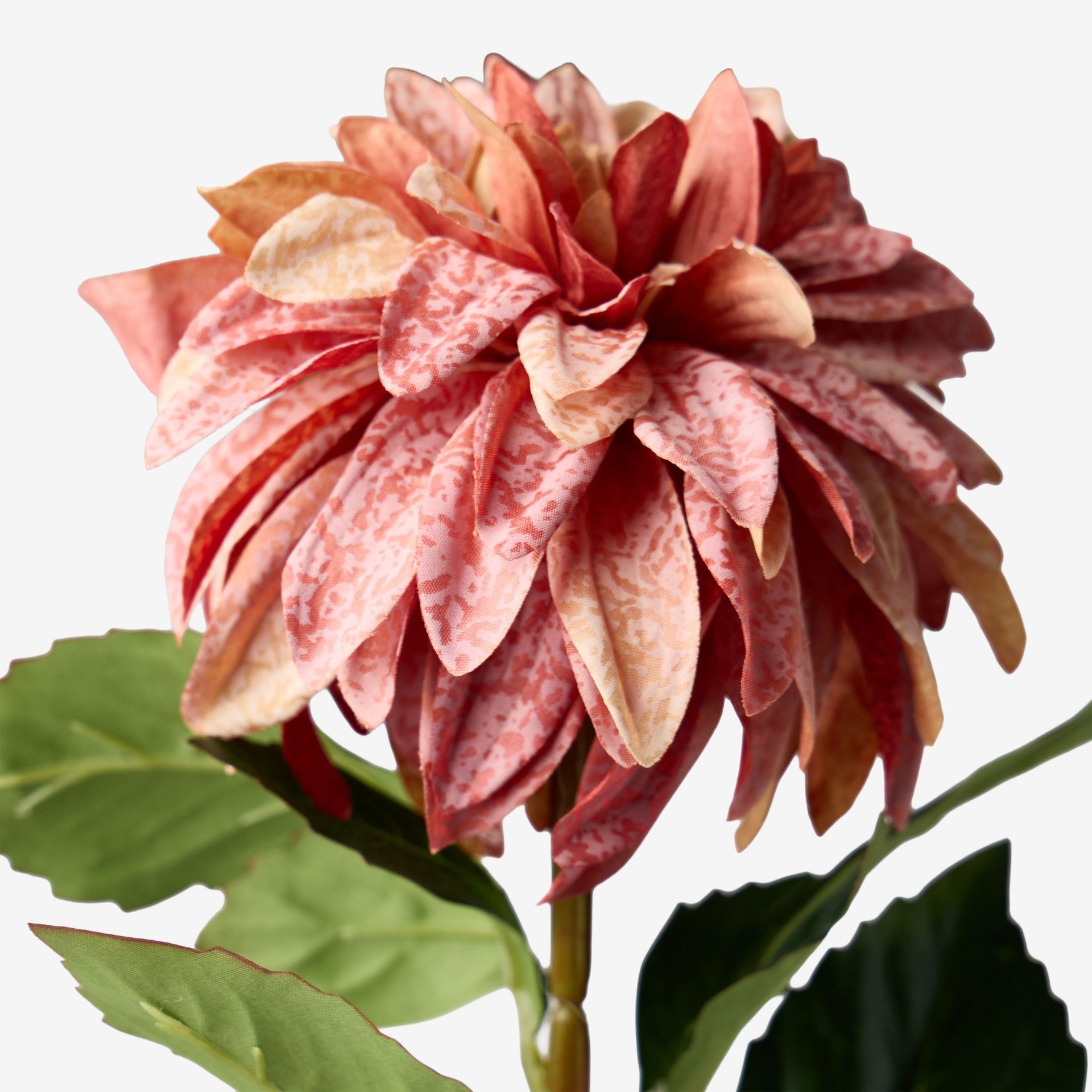 Haste De Dalia Rosa 70cm