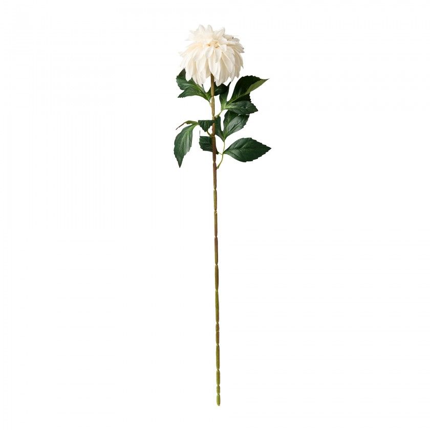 Haste De Dalia Branco 70cm Haste De Dalia Branco 70cm