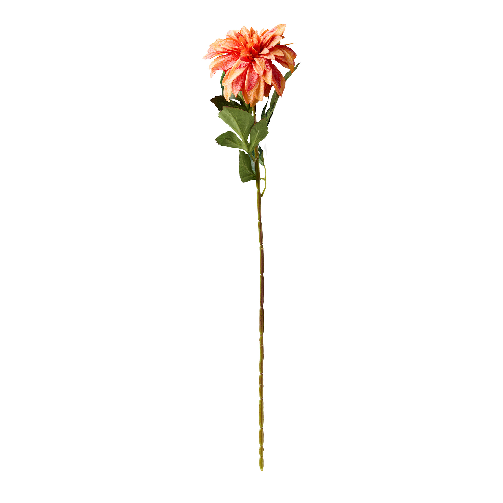 Haste De Dalia Laranja 70cm