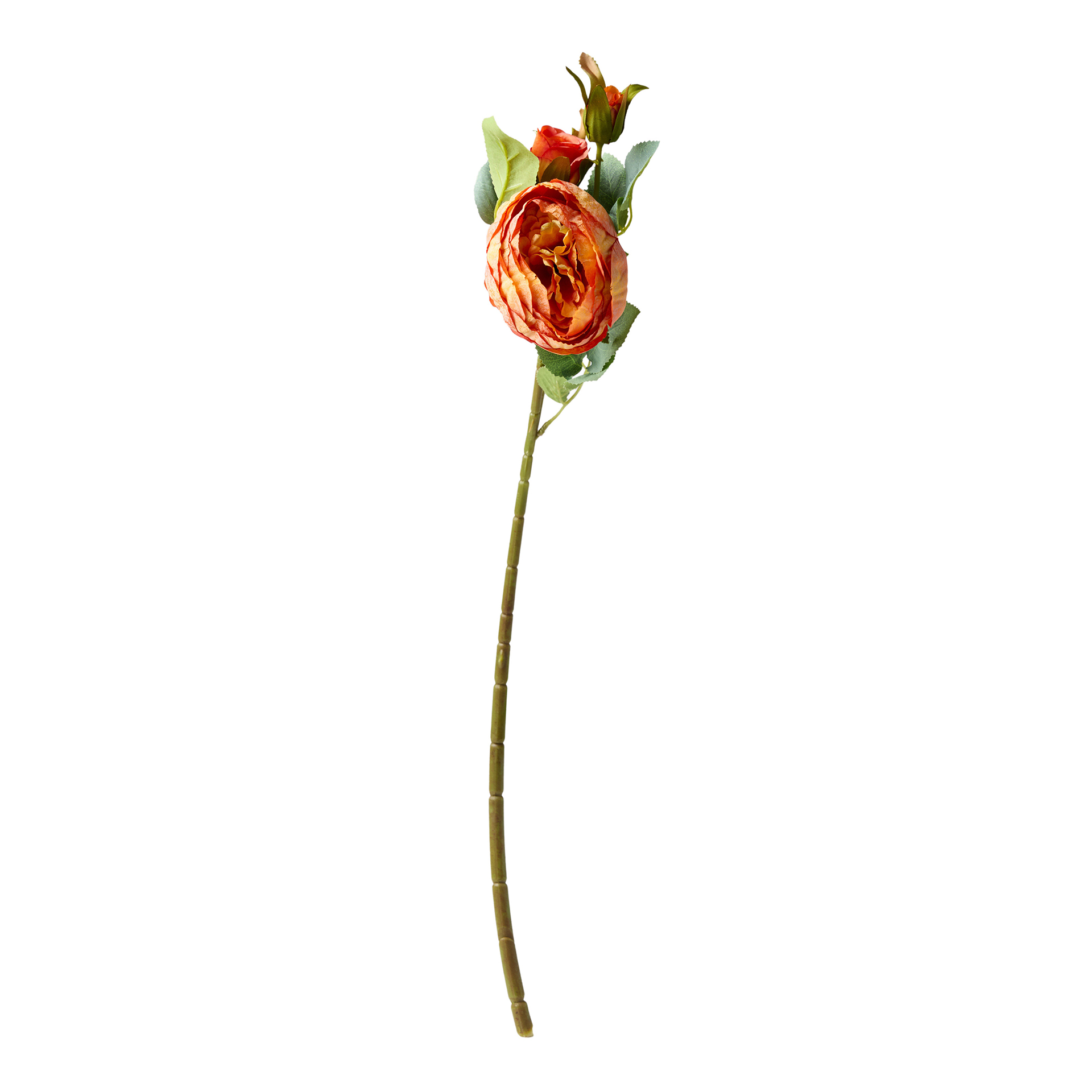 Haste De Peonia Salmão 60cm