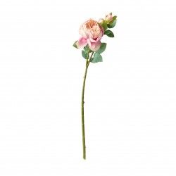 Haste De Peonia Rosa 60cm Haste De Peonia Rosa 60cm