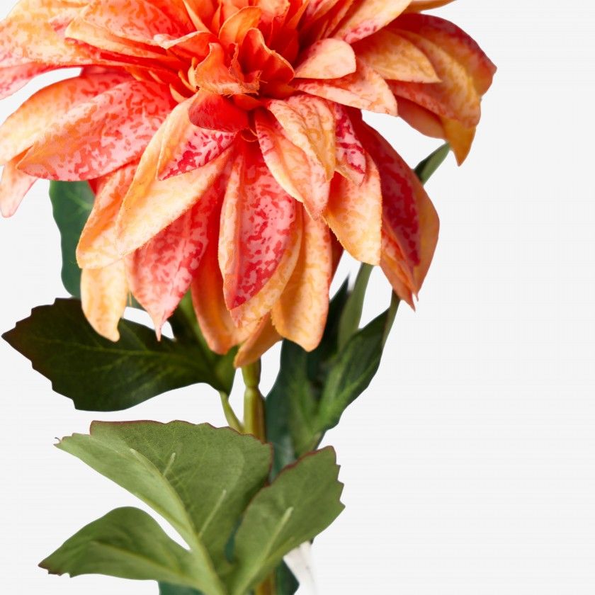 Haste De Dalia Laranja 70cm Haste De Dalia Laranja 70cm