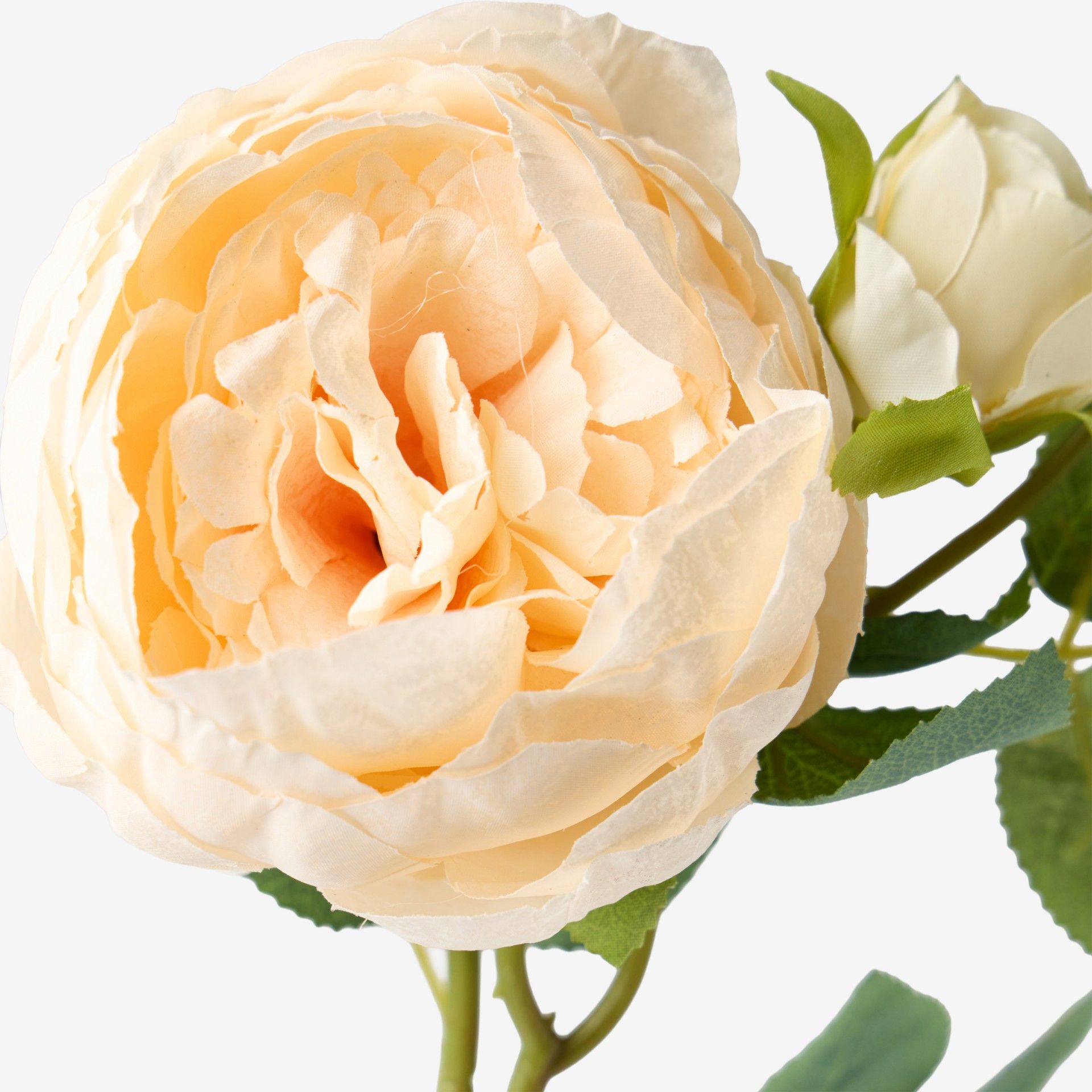 Haste De Peonia Bege 60cm