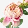 Haste De Peonia Rosa 60cm Haste De Peonia Rosa 60cm