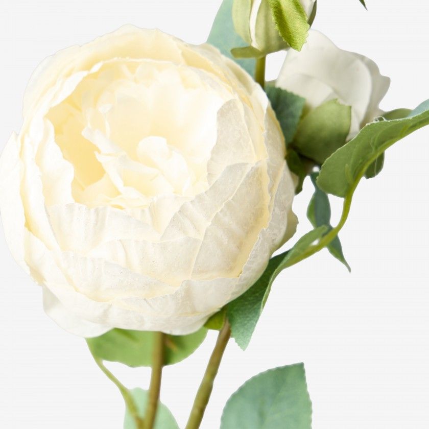 Haste De Peonia Branco 60cm Haste De Peonia Branco 60cm