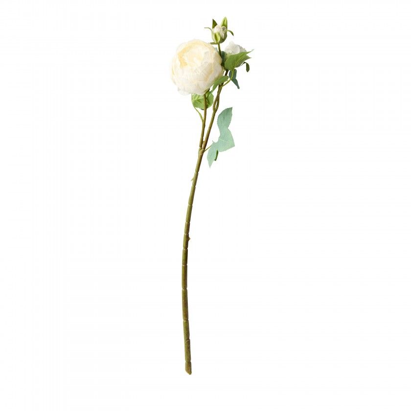 Haste De Peonia Branco 60cm Haste De Peonia Branco 60cm