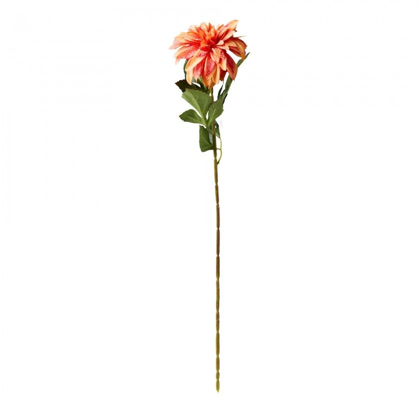 Haste De Dalia Laranja 70cm Haste De Dalia Laranja 70cm