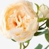 Haste De Peonia Bege 60cm Haste De Peonia Bege 60cm