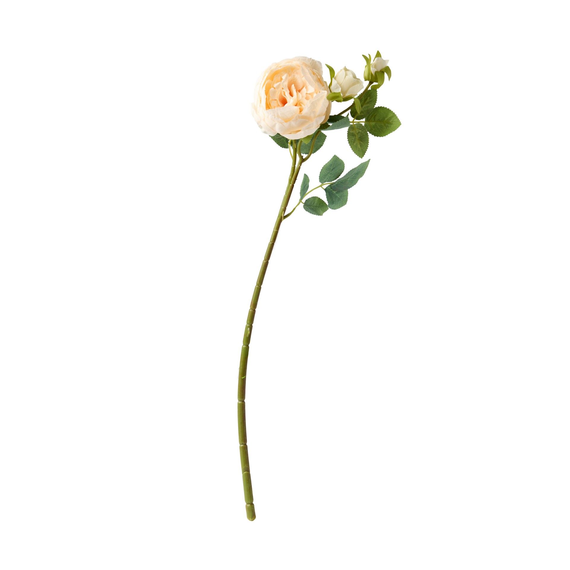 Haste De Peonia Bege 60cm
