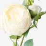 Haste De Peonia Branco 60cm Haste De Peonia Branco 60cm