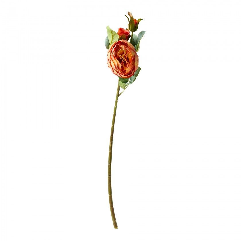 Haste De Peonia Salmão 60cm Haste De Peonia Salmão 60cm