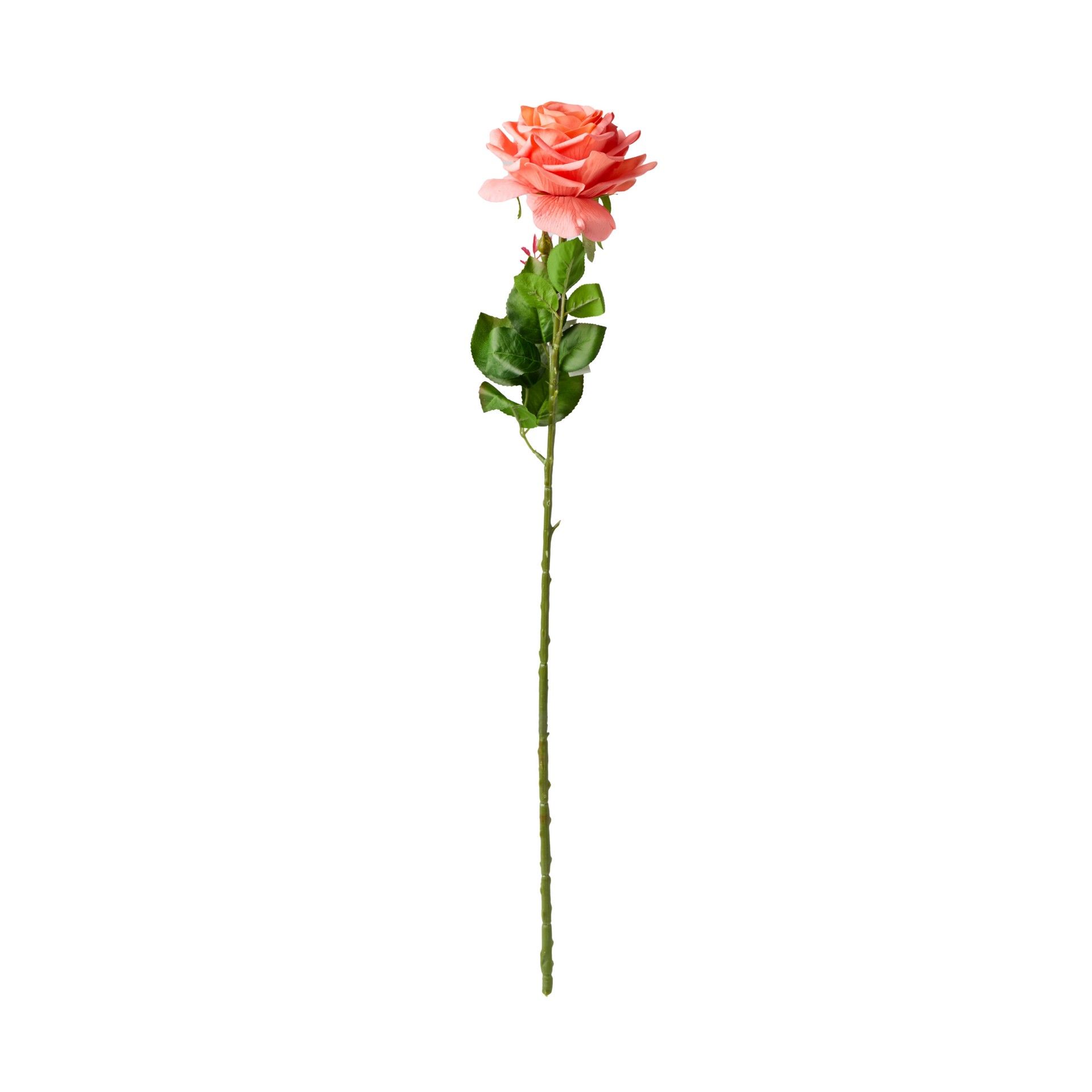 Haste Rosa Toque Natural Salmão 65cm