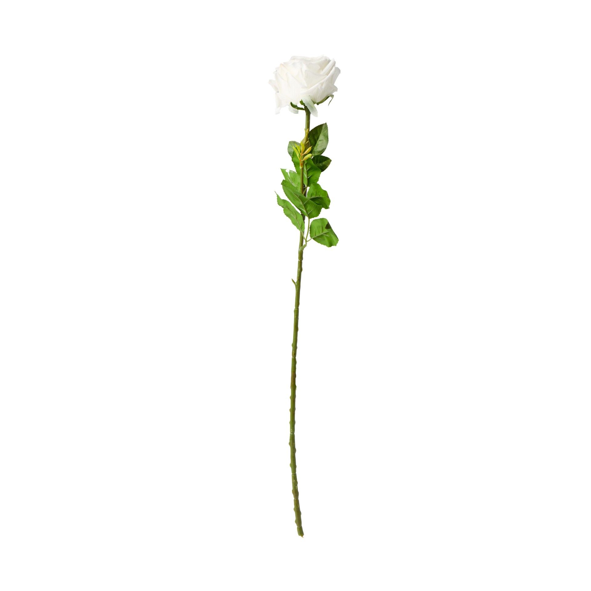 Haste Rosa Toque Natural Branco 65cm