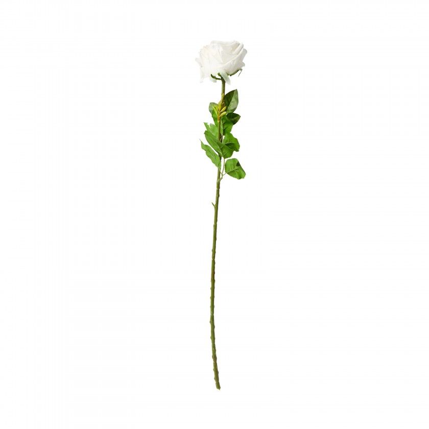 Haste Rosa Toque Natural Branco 65cm Haste Rosa Toque Natural Branco 65cm