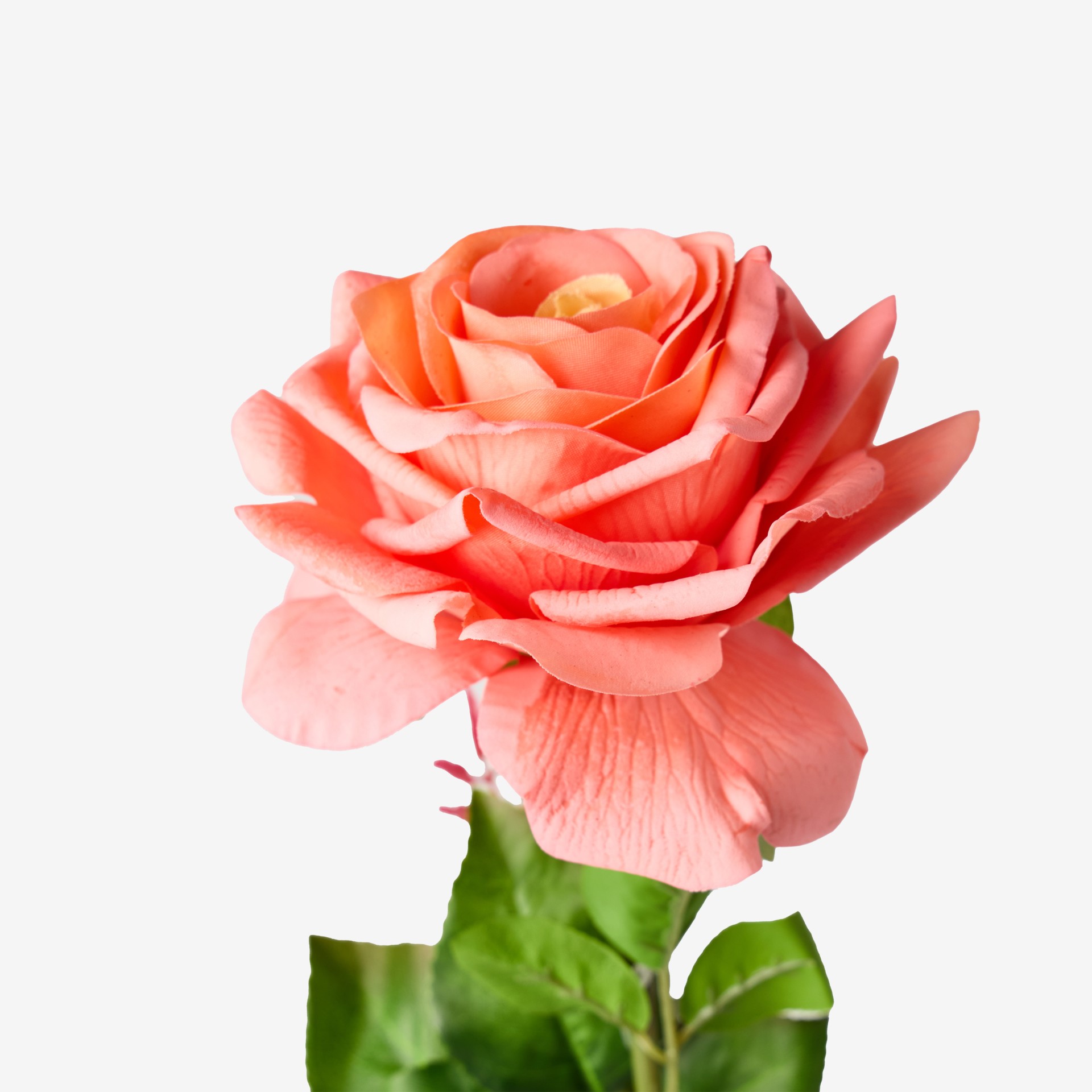 Haste Rosa Toque Natural Salmão 65cm