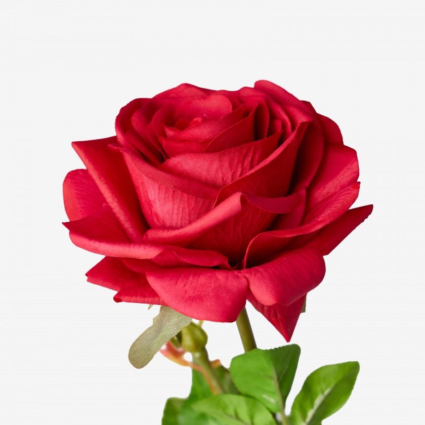 Haste Rosa Toque Natural Vermelho 65cm Haste Rosa Toque Natural Vermelho 65cm