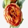 Haste De Peonia Salmão 60cm Haste De Peonia Salmão 60cm