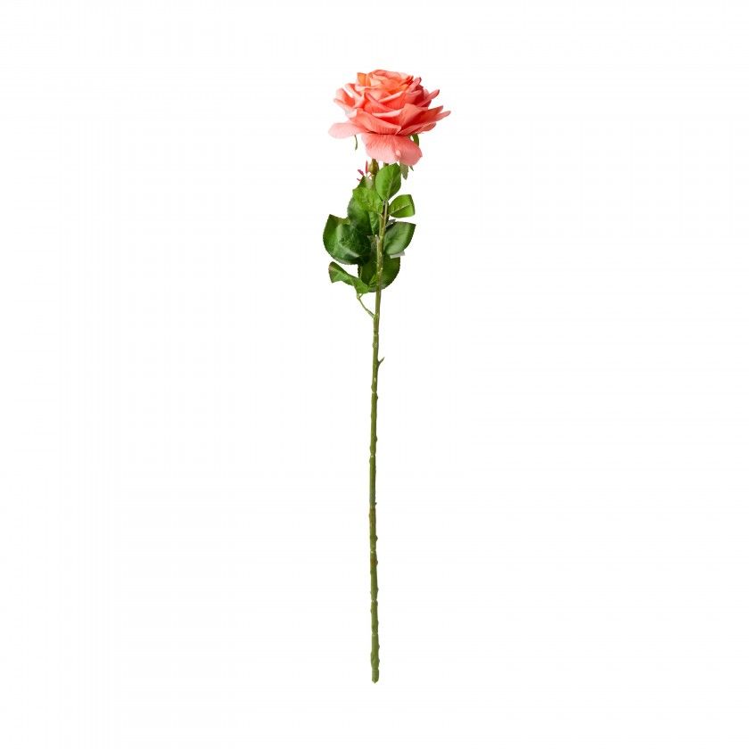 Haste Rosa Toque Natural Salmão 65cm Haste Rosa Toque Natural Salmão 65cm