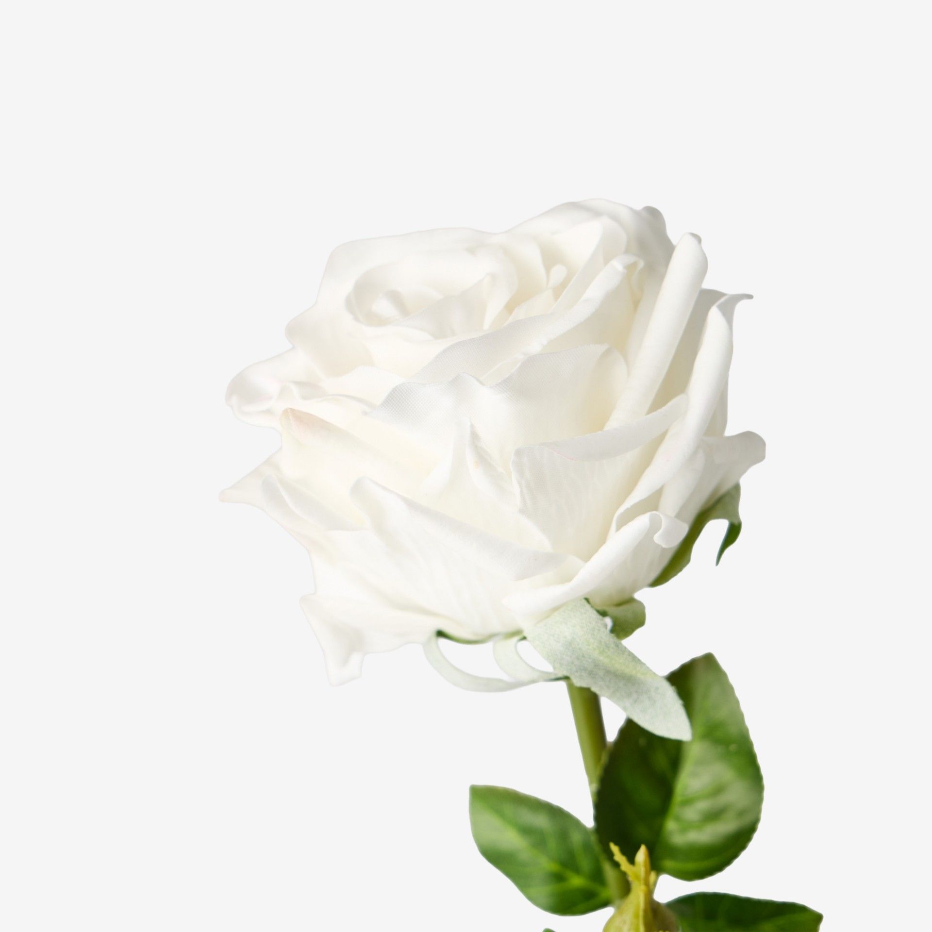 Haste Rosa Toque Natural Branco 65cm