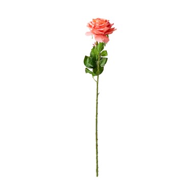 Haste Rosa Toque Natural Salmão 65cm