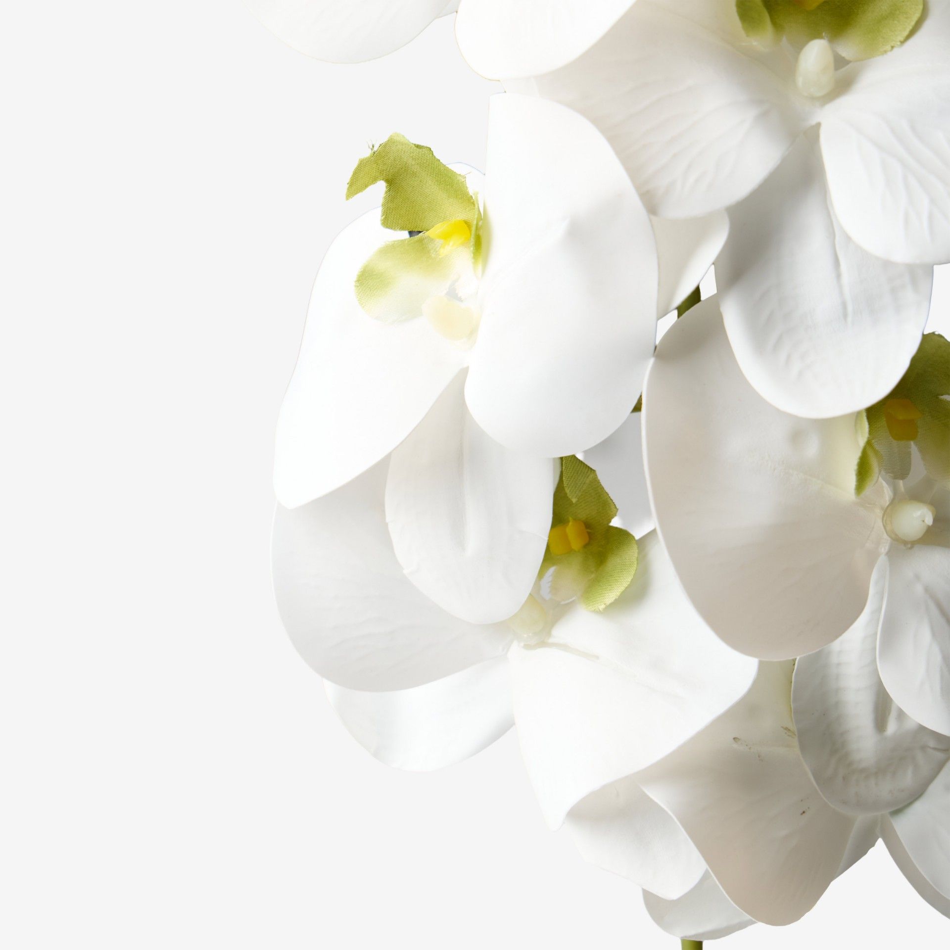 Haste De Orquidea Branco 90cm