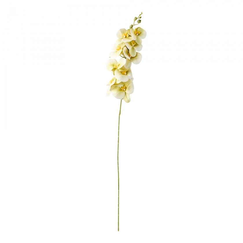 Haste De Orquidea Verde 90cm Haste De Orquidea Verde 90cm