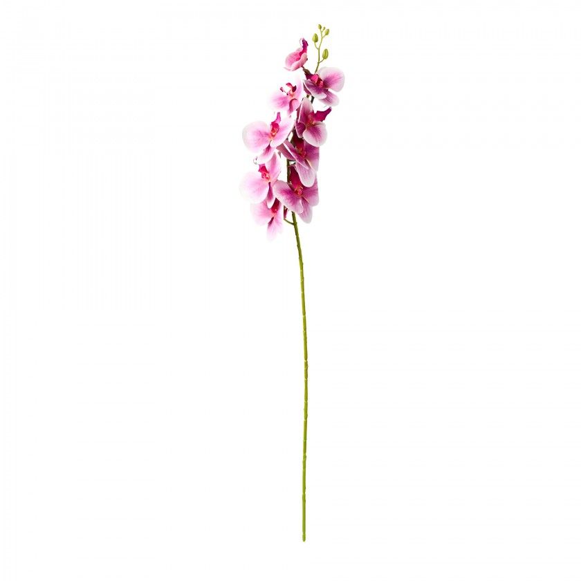 Haste Orquidea Phalaenopsis Rosa 90cm