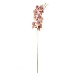 Haste De Orquidea Rosa / Verde 90cm Haste De Orquidea Rosa / Verde 90cm