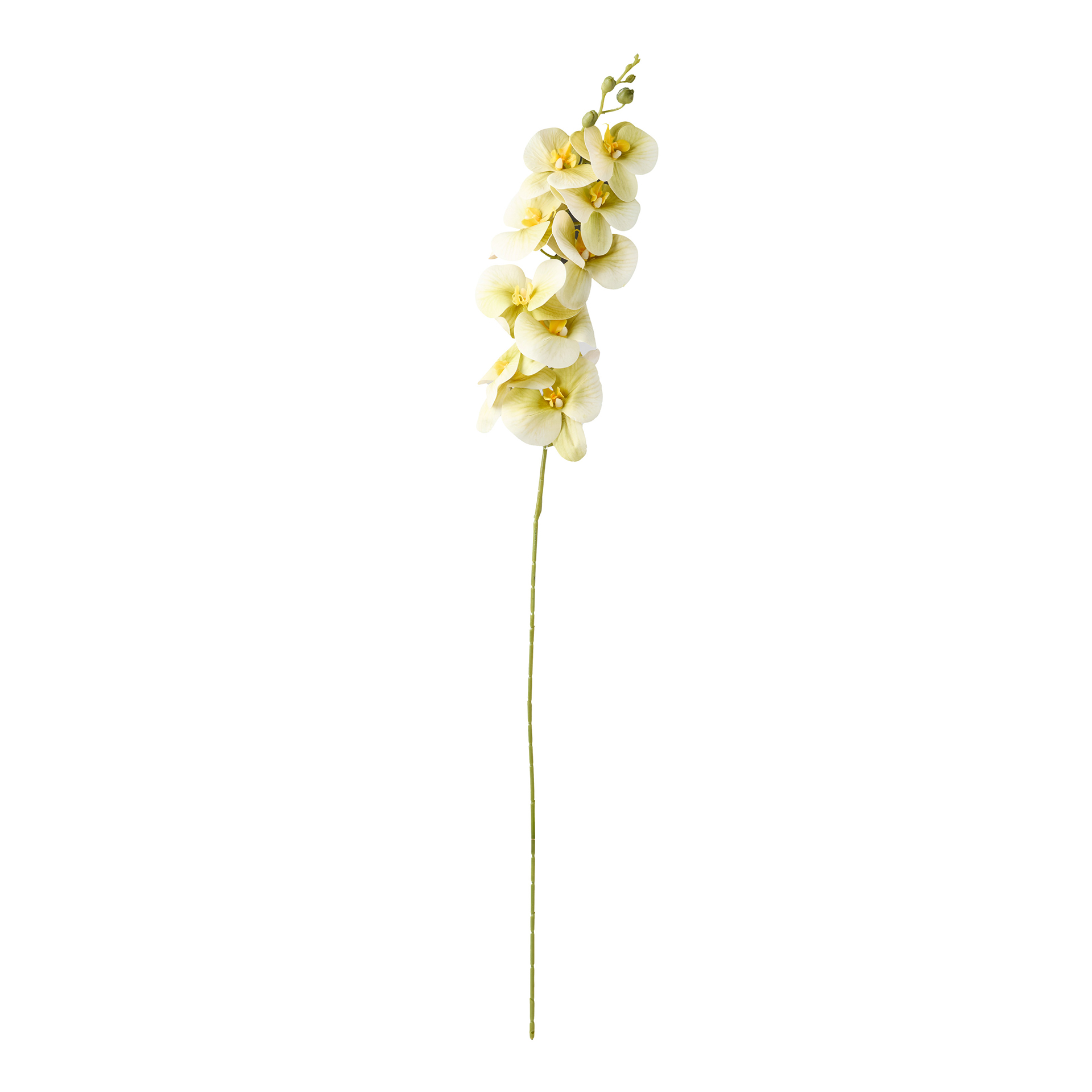 Haste De Orquidea Verde 90cm
