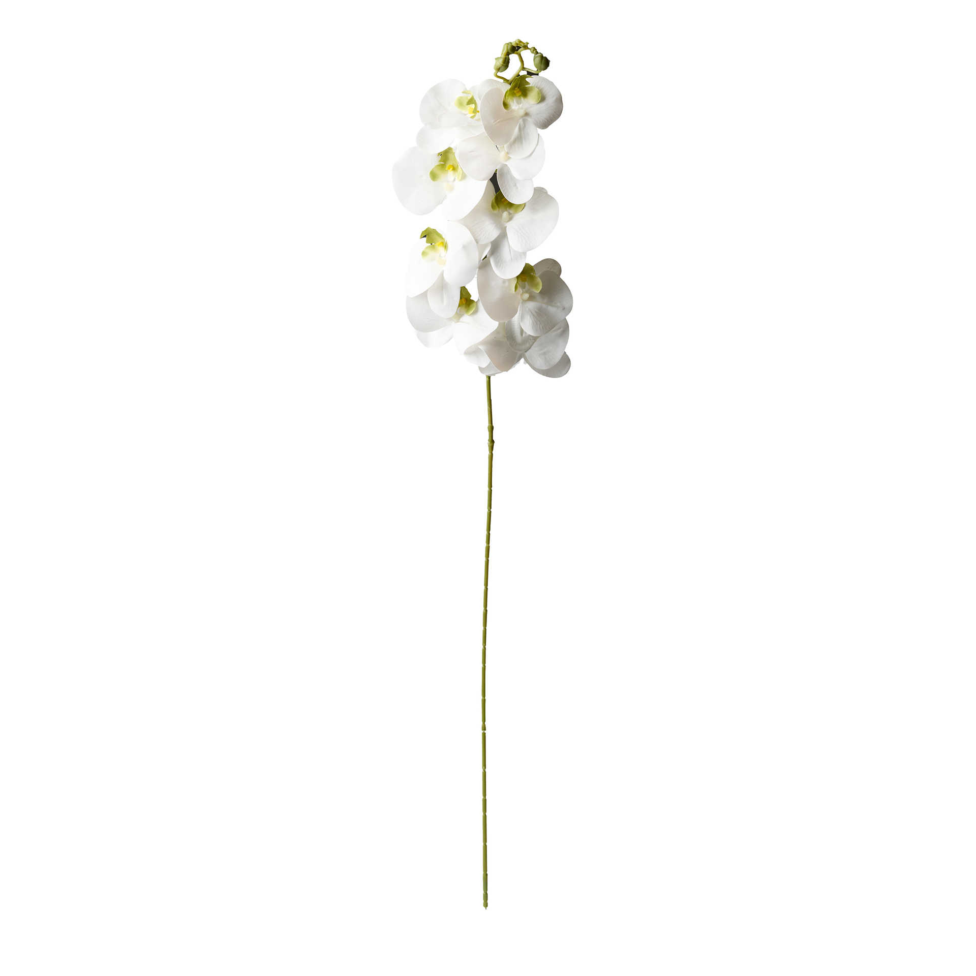 Haste De Orquidea Branco 90cm